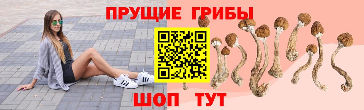 Галлюциногенные грибы мухоморы Сызрань