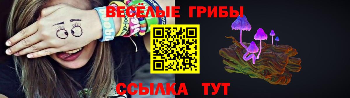 Галлюциногенные грибы MAGIC MUSHROOMS  Вход с VPN  Сызрань  Псилоцибиновые грибы Psilocybe 