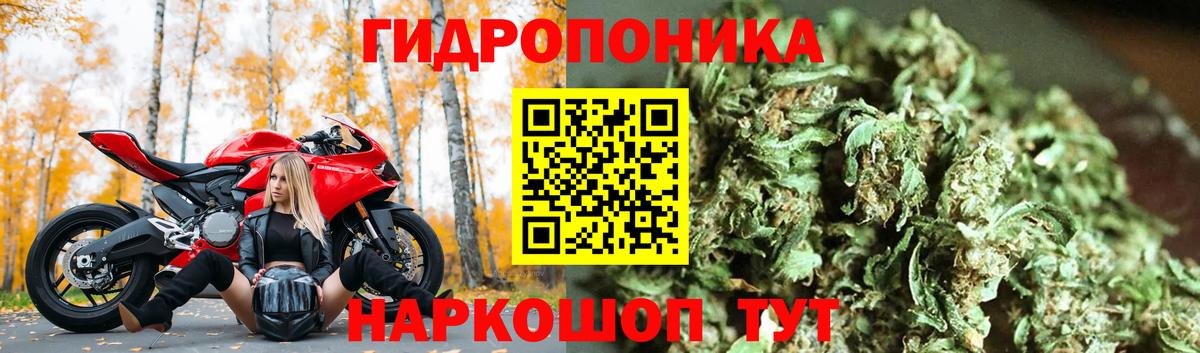 Конопля планчик  Конопля LSD WEED  Бошки марихуана VHQ  Вход с VPN  Шишки марихуана White Widow  Сызрань 